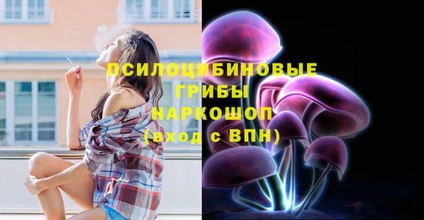 СК Белокуриха