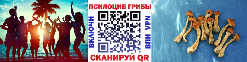 Псилоцибиновые грибы Magic Shrooms  мега рабочий сайт  Малмыж 